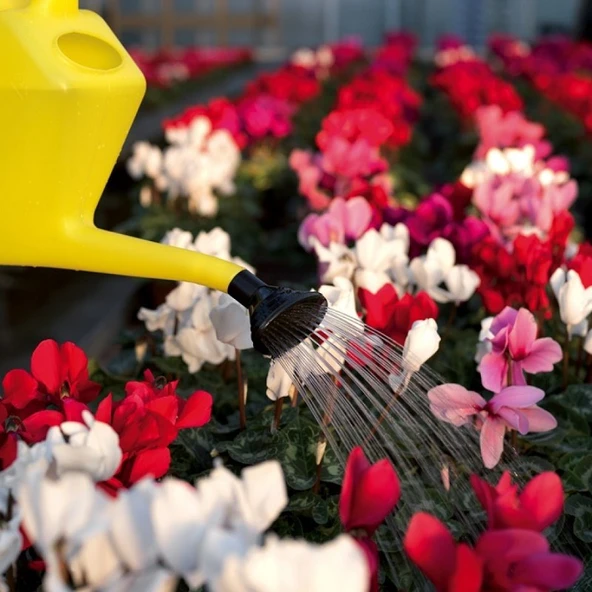 DiMartino Proline 5 Yağmurlama İbriği 5 Litre - 4