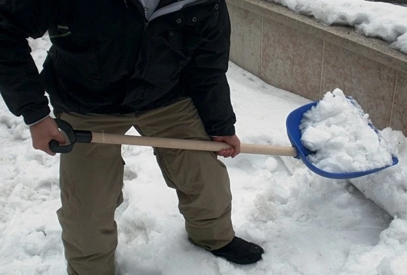 DiMartino 5001B Genel Amaçlı Kürek 39.5x42cm - 5