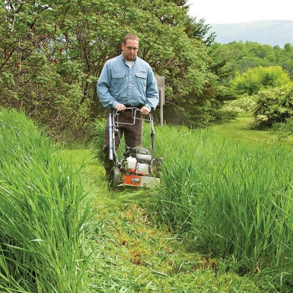 Palmera PT160 Tekerlekli Motorlu Tırpan Benzinli 5.5Hp - 5