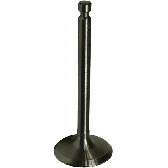 Palmera HP17803003 Supap Emme - Palmera PA-HP80D, 178 ürün görseli