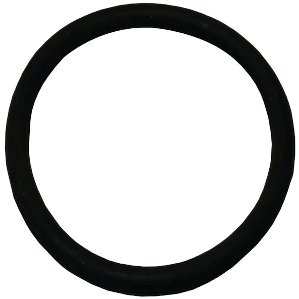 Palmera HP5D1008 Su Difüzör O-Ringi 2'' - Palmera PA-HP50D, SDP20