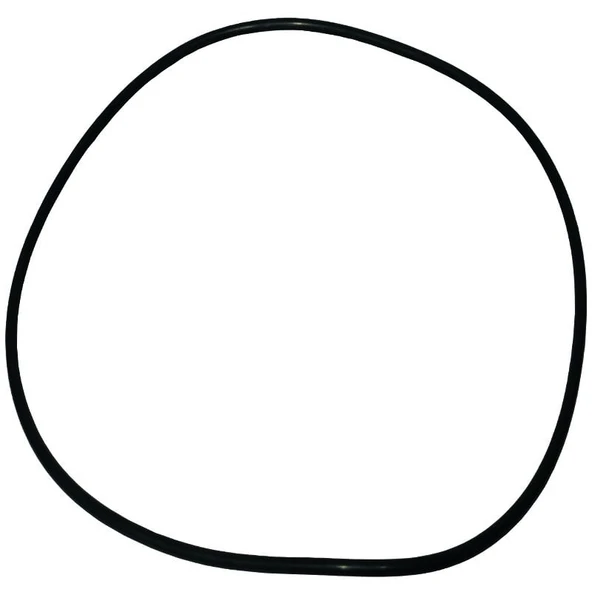 Palmera HP8D1002 Su Pompa Gövde O-Ringi 3'' - Palmera PA-HP80DE, SDP30E ürün görseli