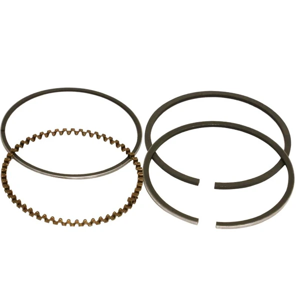 Palmera 2510501 Segman Takımı - Palmera PA150JE, YM90