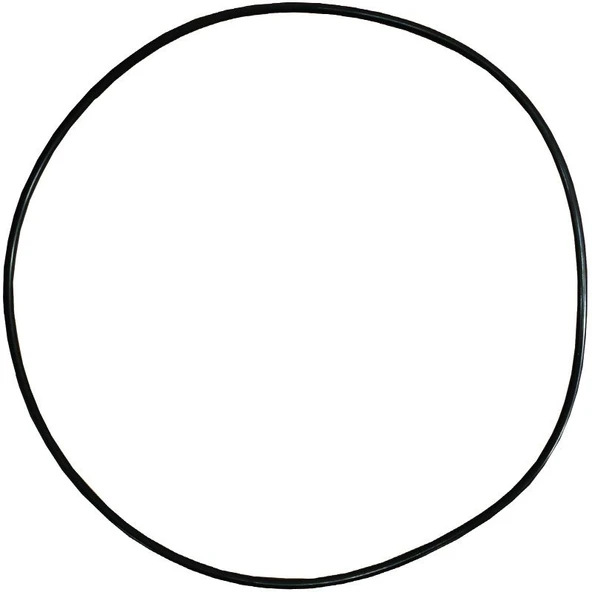 Palmera Q253921 Su Pompa O-Ringi - Palmera QGZ25A ürün görseli 1