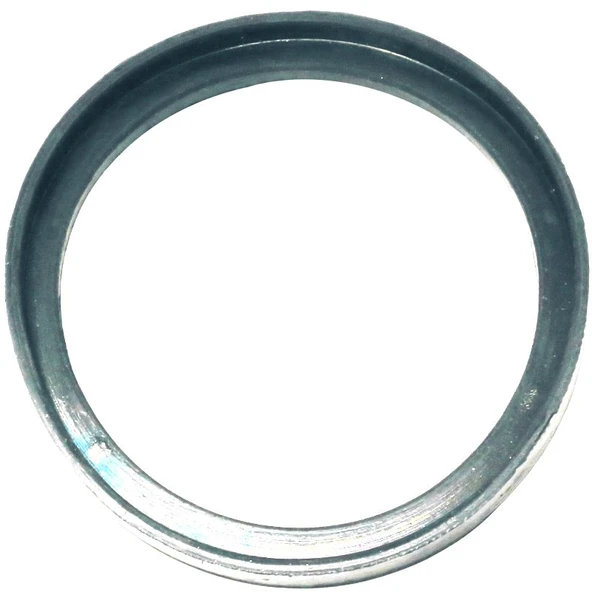 Palmera HP1D1008 Su Difüzörü O-Ringi 4'' - Palmera PA-HP100DE, SDP40E ürün görseli 1