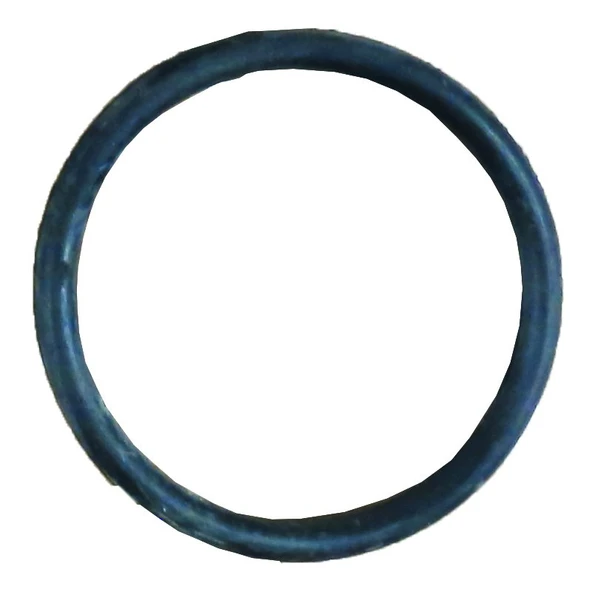 Palmera 21100004 Su Pompa Üst Kapak O-Ringi - Palmera PA-QGZ25A ürün görseli