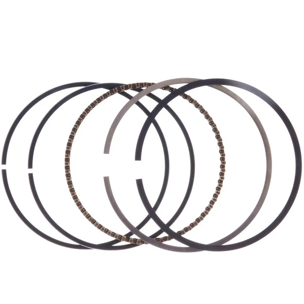 Palmera DM460219 Segman Takımı - Palmera DM46P-DO140