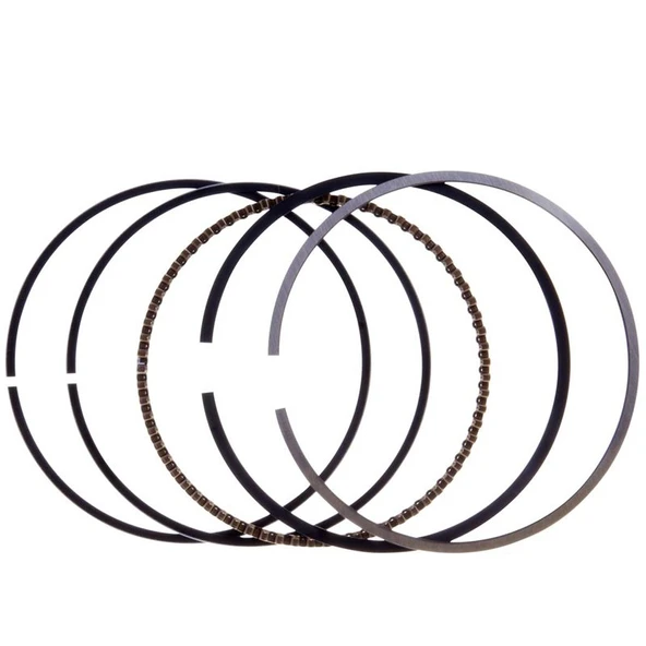 Palmera DM510209 Segman Takımı - Palmera DM51P-D196, DM53S-196 ürün görseli