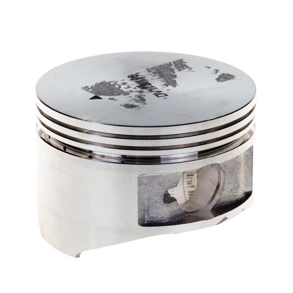 Palmera DM510208 Piston - Palmera DM51P-D196, DM53S-196