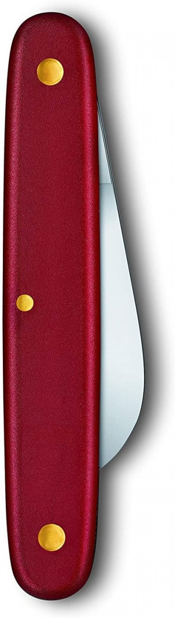 Victorinox 3.9060 Aşı Bıçağı Eğri Ağız 16cm - 2
