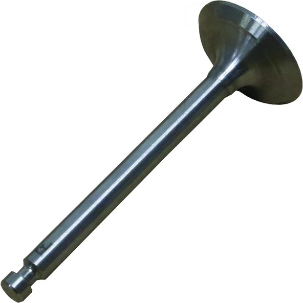 Palmera HP17003004 Supap Egzoz - Palmera PA-HP50D, 170 ürün görseli 1