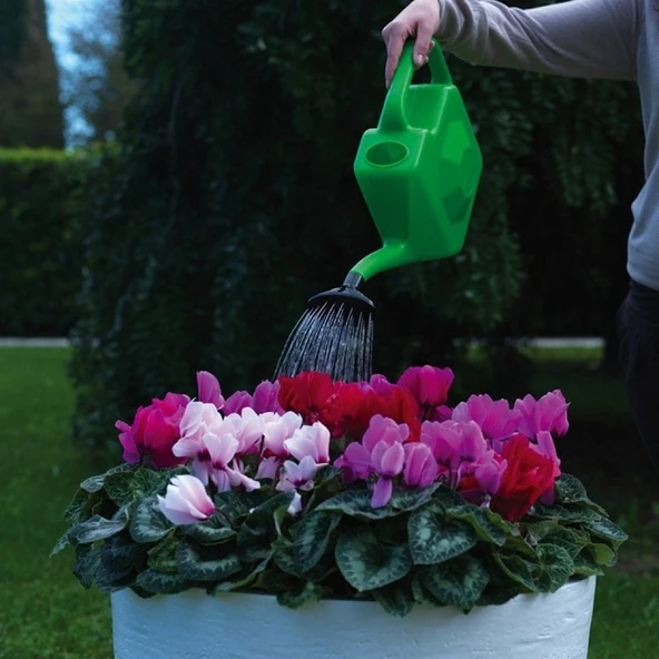 DiMartino Proline 12 Yağmurlama İbriği 12 Litre - 3