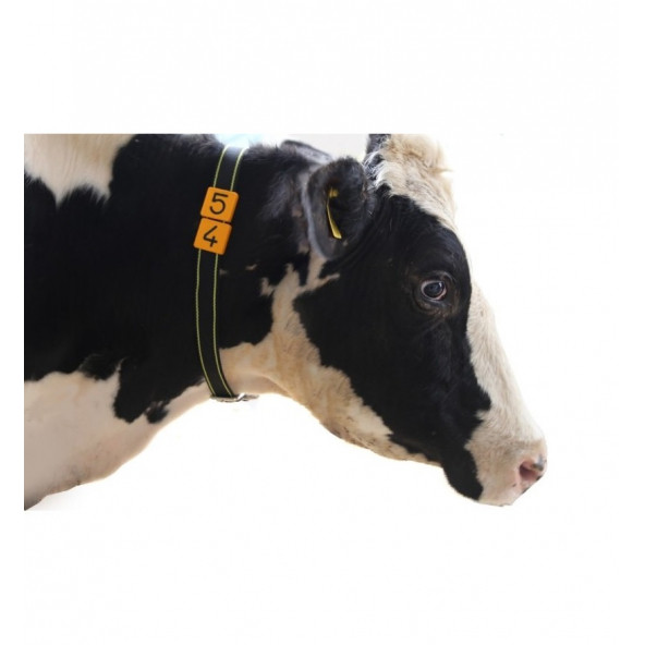 10 Hayvanlık Boyun Kayışı Numaratör Seti (1'den 10'a kadar) - 2