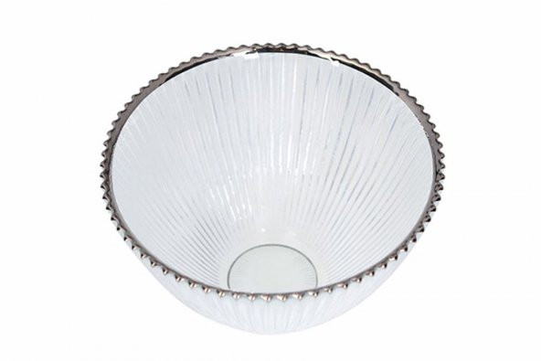 Porland Moon Gümüş Kase 22cm 2li - 3