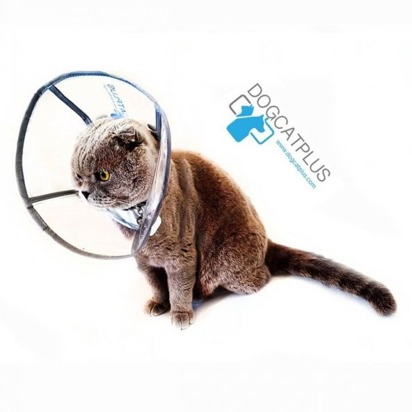 DogCatPlus Elizabeth Şeffaf Yakalık SMALL - 2