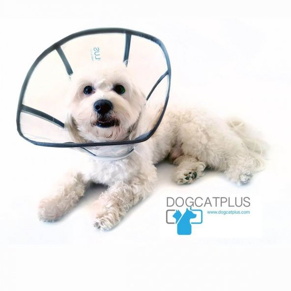 DogCatPlus Elizabeth Şeffaf Yakalık  MEDİUM - 2