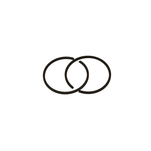 48MM 2 Lİ SEGMAN TAKIM EB650.55M16 PALMERA 159599 EB65001-41A ürün görseli 1