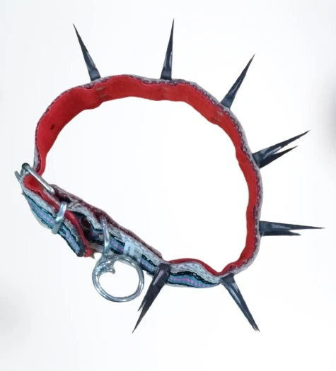 3X60 CM KOLON DİKENLİ  KÖPEK TASMASI ürün görseli