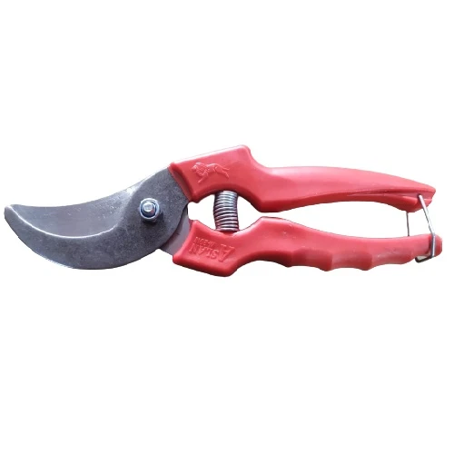 ASLAN BAĞ MAKASI M-2010 ürün görseli 1