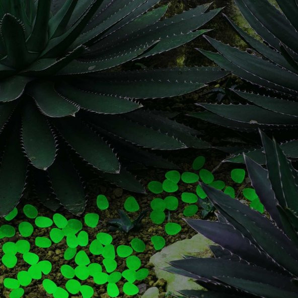 Bahçe Fosforlu Çakıl Taşları 50 Li Gece Parlayan Fosforlu Taş - 2