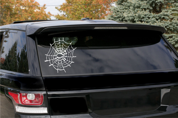 Sticker Masters Örümcek Ağı Sticker ürün görseli