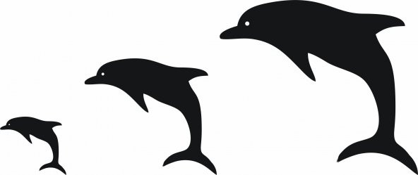 Sticker Masters Yunus Balığı Sticker - Resim 4