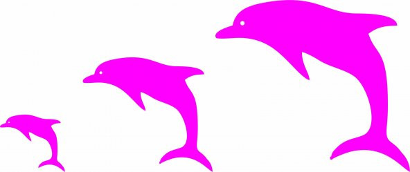 Sticker Masters Yunus Balığı Sticker - Resim 7