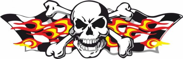 Sticker Masters Skull Sticker