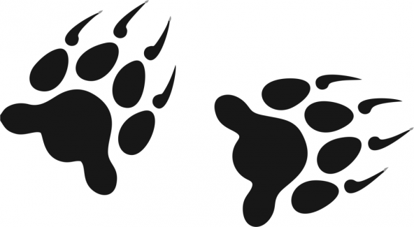 Sticker Masters Kurt Pati Sticker ürün görseli