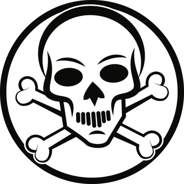 Sticker Masters Bone Skull Sticker - 1