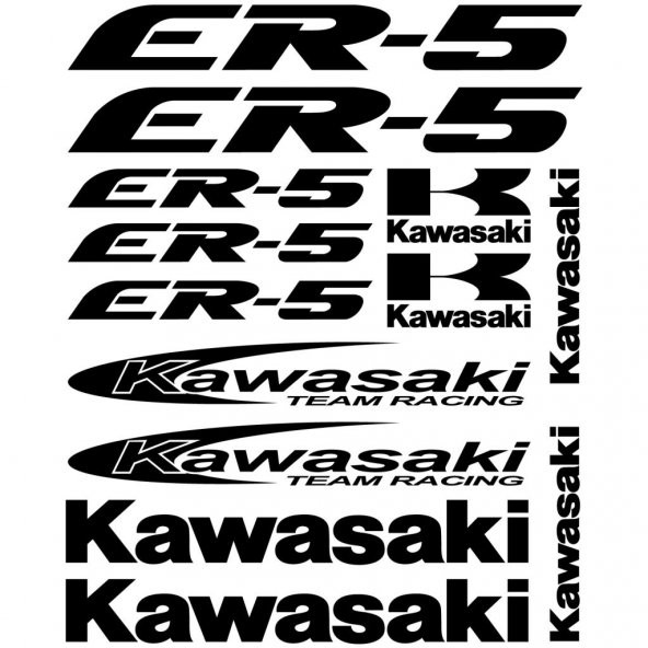 Sticker Masters Kawasaki ER-5 Sticker Set