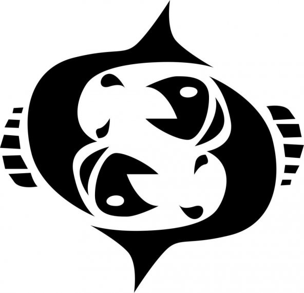 Sticker Masters Balık Burcu Sticker ürün görseli