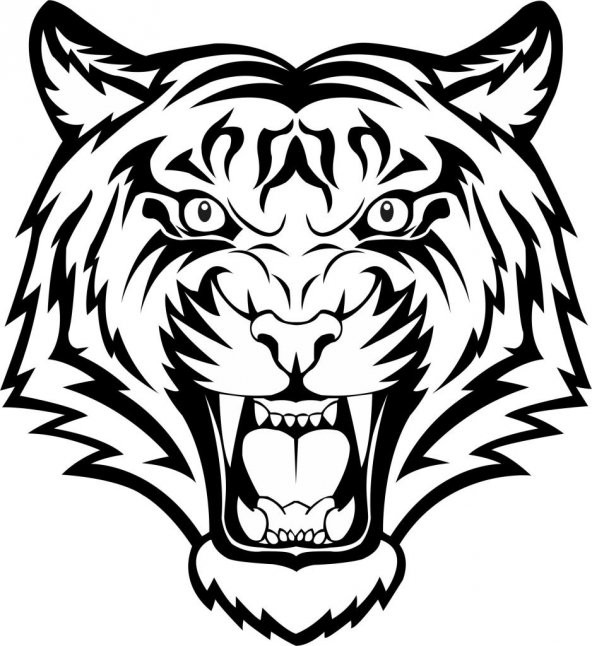 Sticker Masters Kaplan Araba Oto Sticker ürün görseli