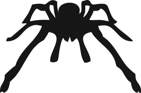 Sticker Masters Tarantula Sticker ürün görseli