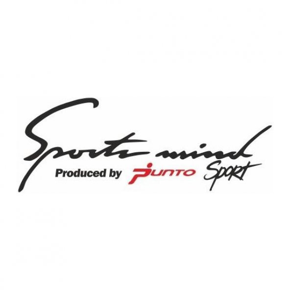 Sticker Masters Fiat Punto Sport Mind Oto Sticker