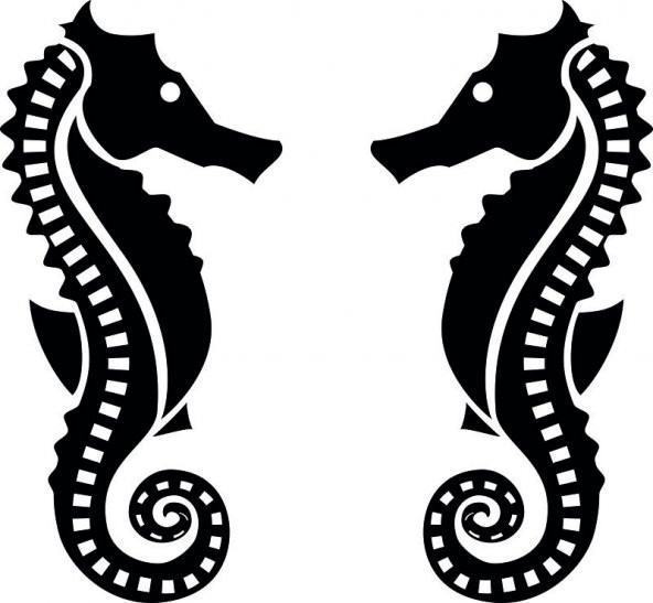 Sticker Masters Deniz Atı Sticker ürün görseli 1