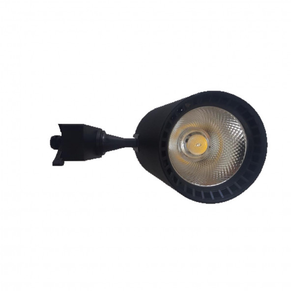 10 LU PAKET Mercekli 30 W RAY SPOT rayspot siyah kasa günışığı
