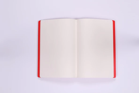 Frida Kahlo Baskılı İnce Kapak Çizgisiz Defter - 3