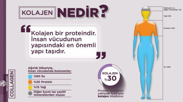 Naturalnest Plus Collagen Peptit Takviye Edici Gıda 30 x 40 ml - 2