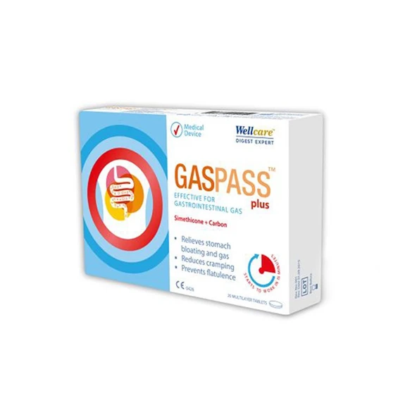 Wellcare Gaspass Plus 20 Tablet