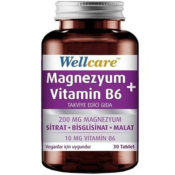 Wellcare Magnezyum B6 Vitamini 30 Tablet