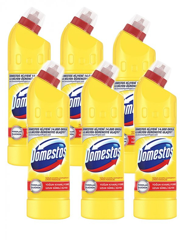 Domestos Çamaşır Suyu 750 ml Limon Ferahlığı, 6 lı