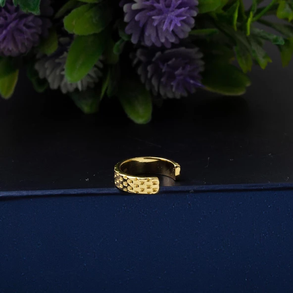 14 Ayar Altın Kıkırdak Küpe - 4