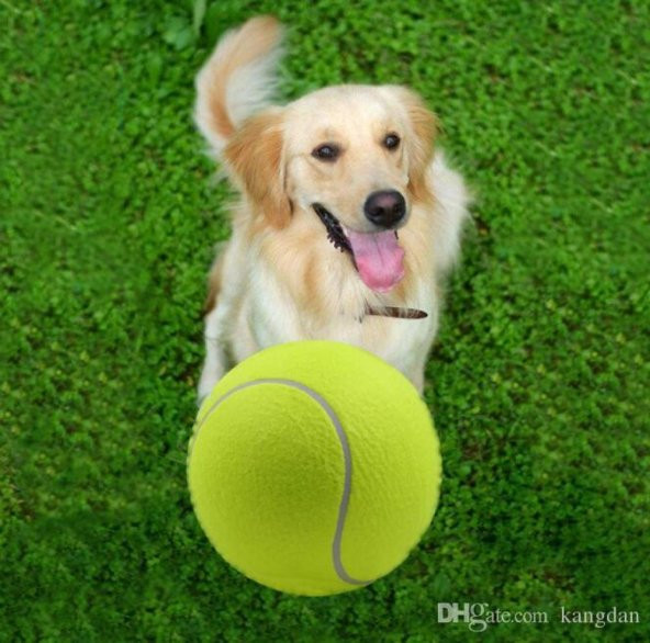 Tenis Topu Köpek Oyuncağı 3 Adet - 2