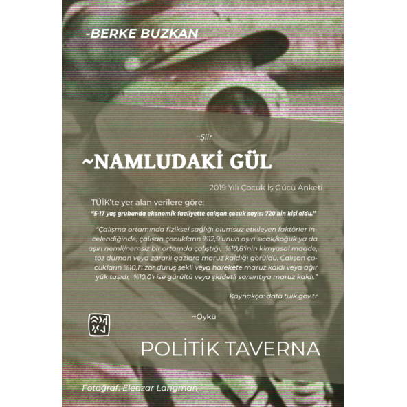 Politik Taverna - Berke Buzkan