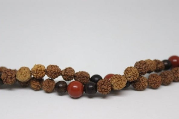 Rudraksha Tohumu 108lik Mala Kolye - Resim 5