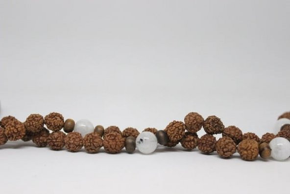 Rudraksha Tohumu 108lik Mala Kolye - Resim 2