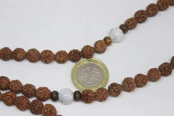 Rudraksha Tohumu 108lik Mala Kolye - Resim 3