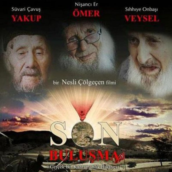 Son Buluşma Kullanılmış Koleksiyonluk VCD Film