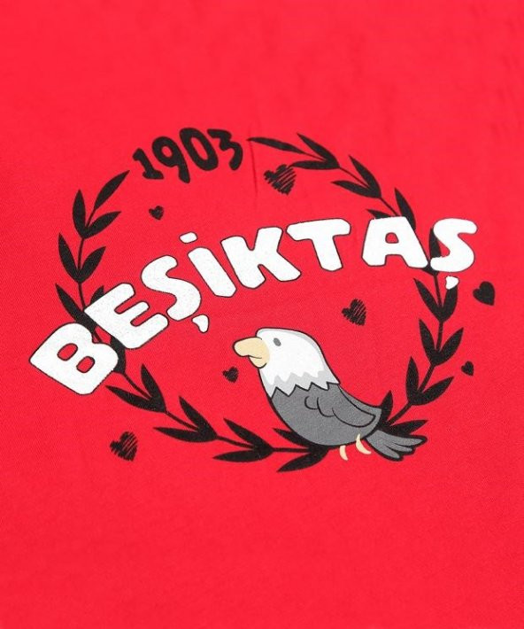 Beşiktaş Orijinal Kız Bebek T-Shirt Hediyelik Ahşap Kutulu - Resim 4